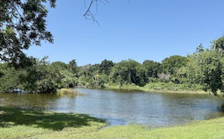 Pictures of Land property located at 3.53 +/- Acres near Stephenville, Stephenville, TX 76401 for sales - image #1