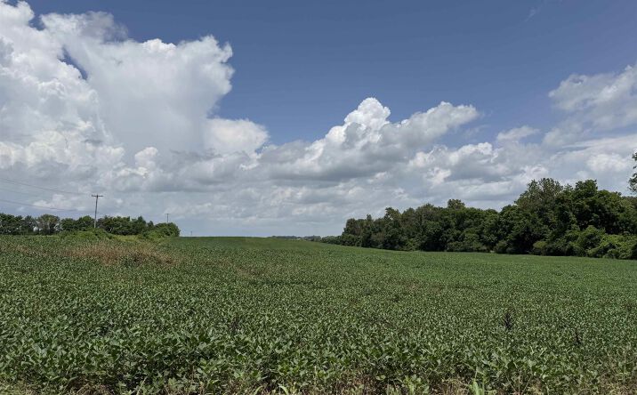 Pictures of Land property located at Hwy 41, Princeton, IN 47670 for sales - image #1