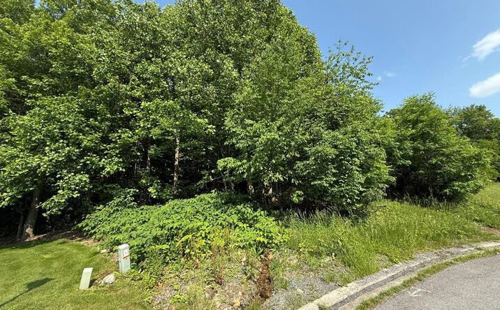 Pictures of Land property located at Stonybrook Lane, Johnstown, PA 15904 for sales - image #1