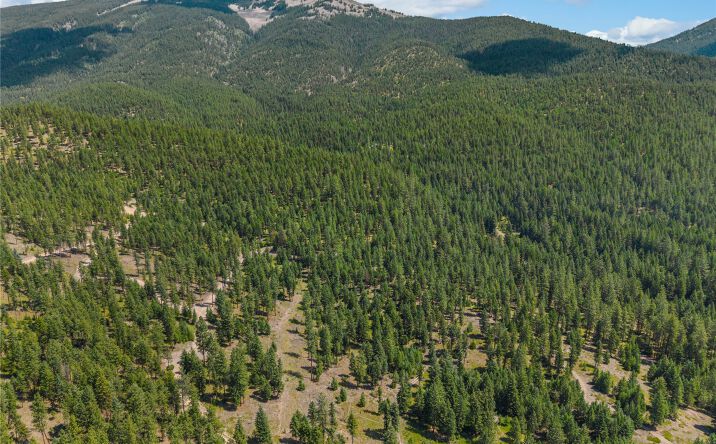 Pictures of Land property located at NHN Lot 16A Corona Court, Plains, MT 59859 for sales - image #1