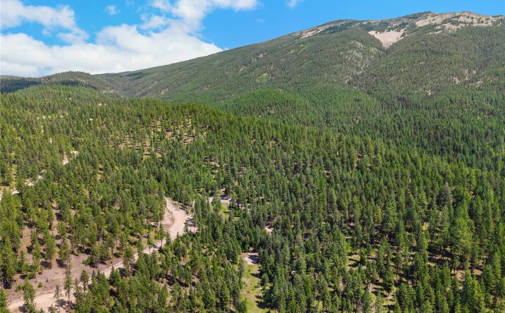 Pictures of Land property located at NHN Lot 16B Corona Road, Plains, MT 59859 for sales - image #1