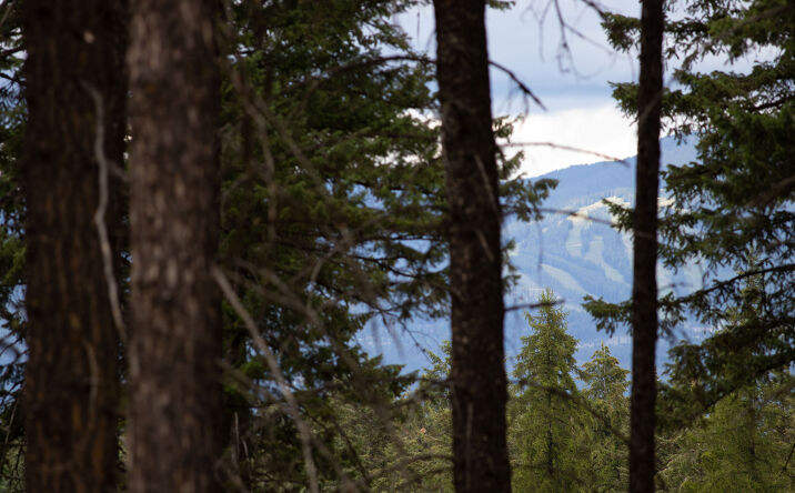 Pictures of Land property located at 149 Rosewood Lane Lot 8, Whitefish, MT 59937 for sales - image #1