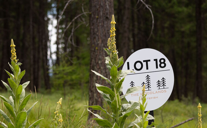 Pictures of Land property located at 142 Rosewood Lane Lot 18, Whitefish, MT 59937 for sales - image #1