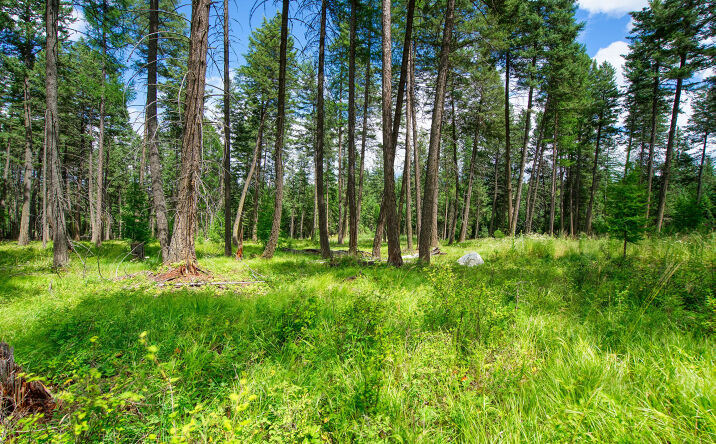 Pictures of Land property located at 161 Rosewood Lot 10, Whitefish, MT 59937 for sales - image #1