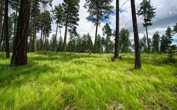Pictures of Land property located at 182 Rosewood Lane Lot 15, Whitefish, MT 59937 for sales - image #1