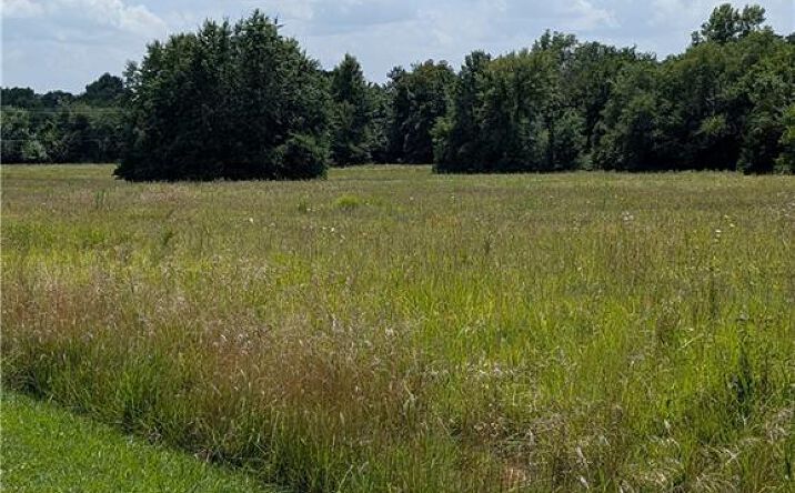Pictures of Land, Special Purpose property located at Jackson Street, El Dorado Springs, MO 64744 for sales - image #1