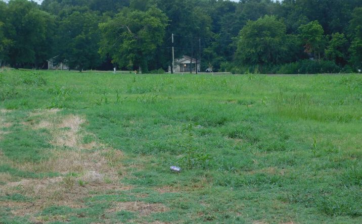 Pictures of Land property located at TBD FULTON, Pittsburg, TX 75686 for sales - image #1