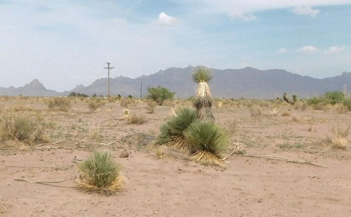 Pictures of Land property located at 0000 Lucca Rd Sw, Deming, NM 88030 for sales - image #1