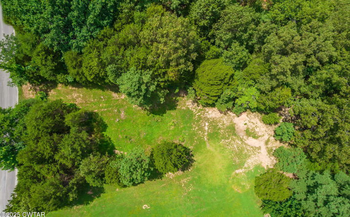 Pictures of Land property located at 0 Lakewood Drive E, Jackson, TN 38305 for sales - image #1