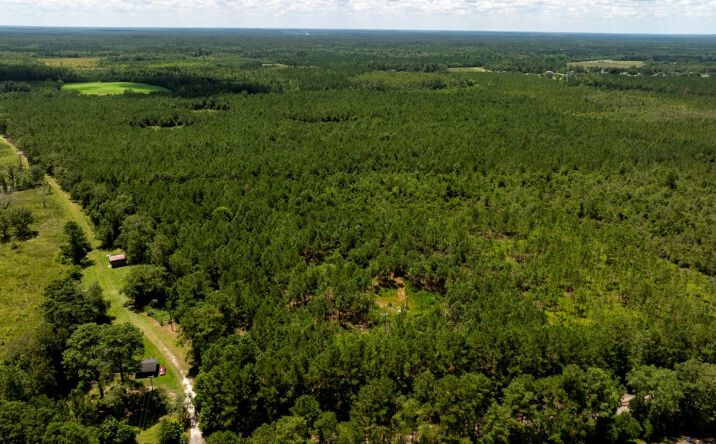 Pictures of Land property located at Hwy 280, Pembroke, GA 31321 for sales - image #1