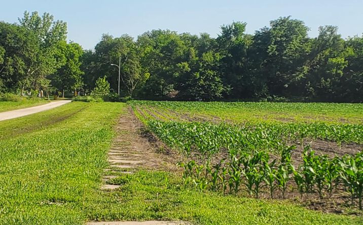 Pictures of Land property located at N 4th St, Quenemo, KS 66528 for sales - image #1