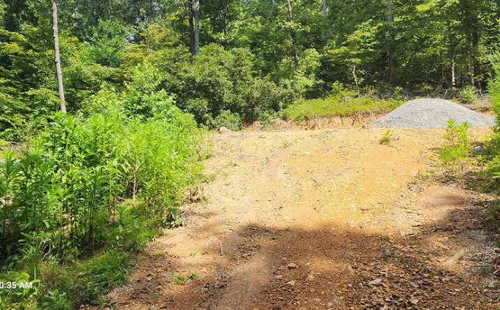 Pictures of Land, Multifamily property located at 418 Shady Grove Rd, Holladay, TN 38341 for sales - image #1