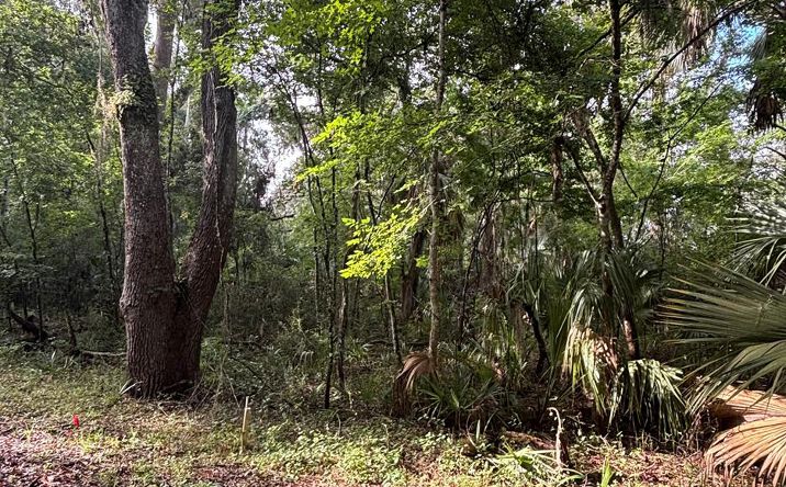 Pictures of Land property located at 0 NE 83rd Ave, Old Town, FL 32680 for sales - image #1