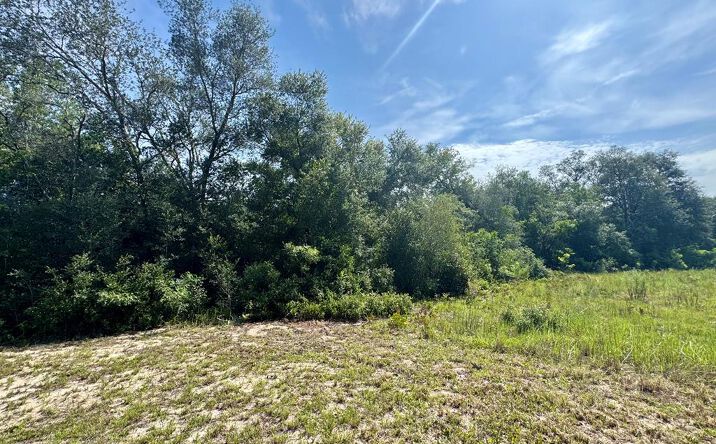 Pictures of Land property located at 7669 Silver Sands Rd., Keystone Heights, FL 32656 for sales - image #1