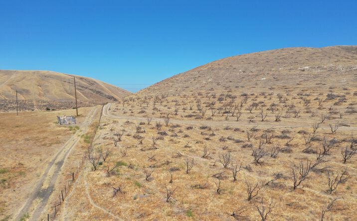 Pictures of Land property located at Btwn I-5 and Del Puerto Canyon Road, Patterson, CA 95363 for sales - image #1