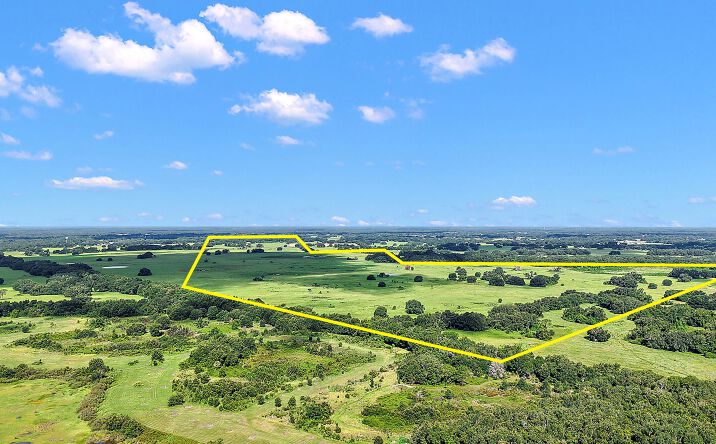 Pictures of Land property located at 8919 SR 471, Webster, FL 33597 for sales - image #1