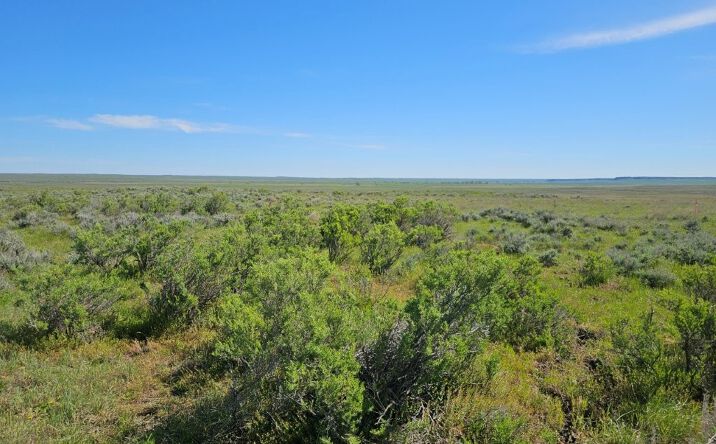 Pictures of Land property located at TBD Elk Creek Road, Winnett, MT 59087 for sales - image #1