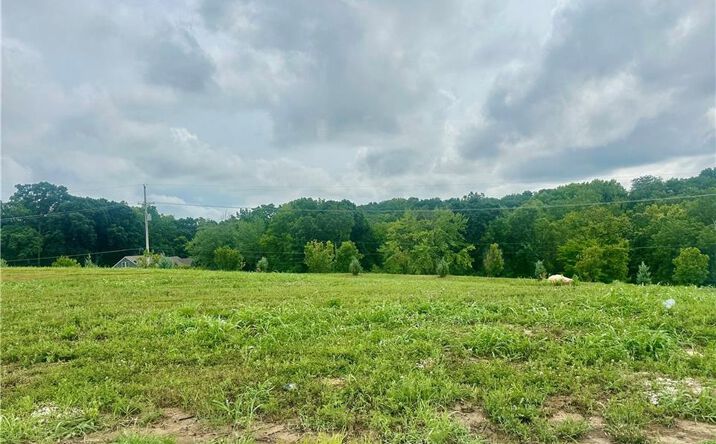 Pictures of Land property located at 13930 NW 70th Street, Parkville, MO 64152 for sales - image #1