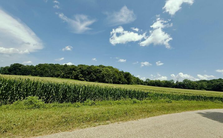 Pictures of Land property located at ROUTE 26, Metamora, IL 61548 for sales - image #1