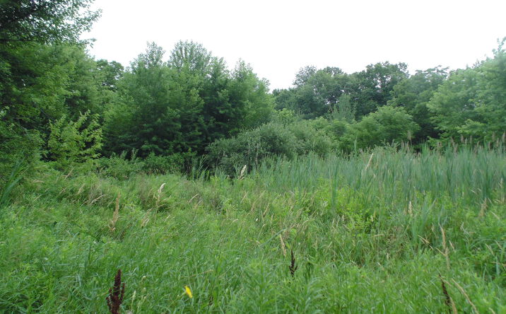 Pictures of Land property located at 2899 State Street, Lake Station, IN 46405 for sales - image #1