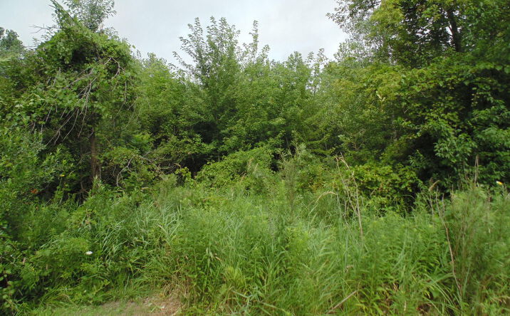 Pictures of Land property located at 2820 New York Street, Lake Station, IN 46405 for sales - image #1