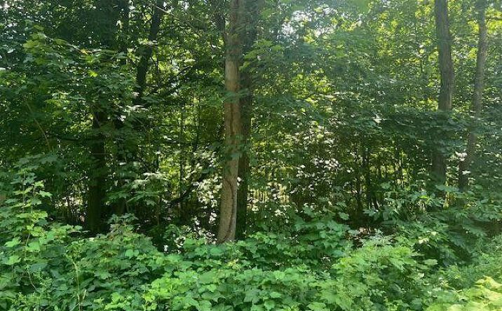 Pictures of Land property located at 7 Ulster Avenue, Esopus, NY 12487 for sales - image #1