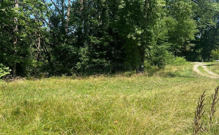 Pictures of Land property located at 915 Newark Road, Utica, OH 43080 for sales - image #1