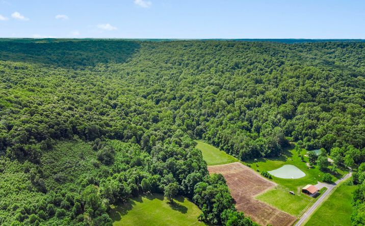 Pictures of Land property located at 0 Schmidt Rd, Bainbridge, OH 45612 for sales - image #1