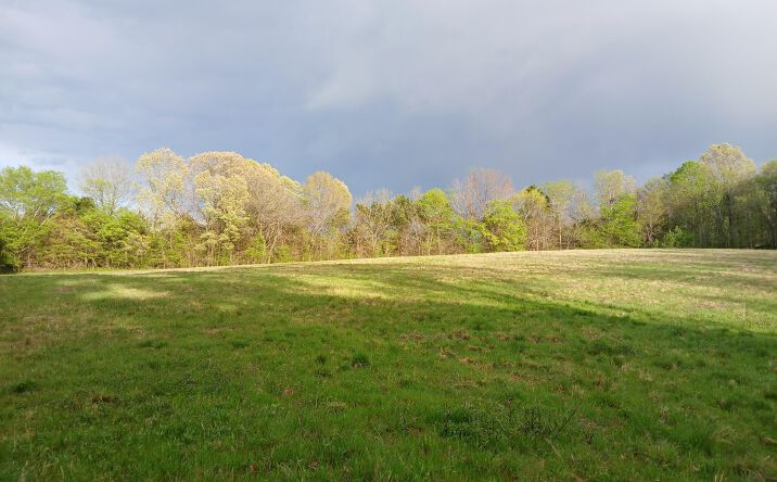 Pictures of Land property located at 2998 N. Central Ave, Humboldt, TN 38343 for sales - image #1