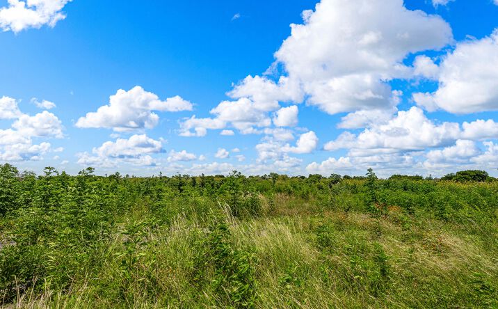 Pictures of Land property located at To Be Determined N 18th Street, Waco, TX 76708 for sales - image #1