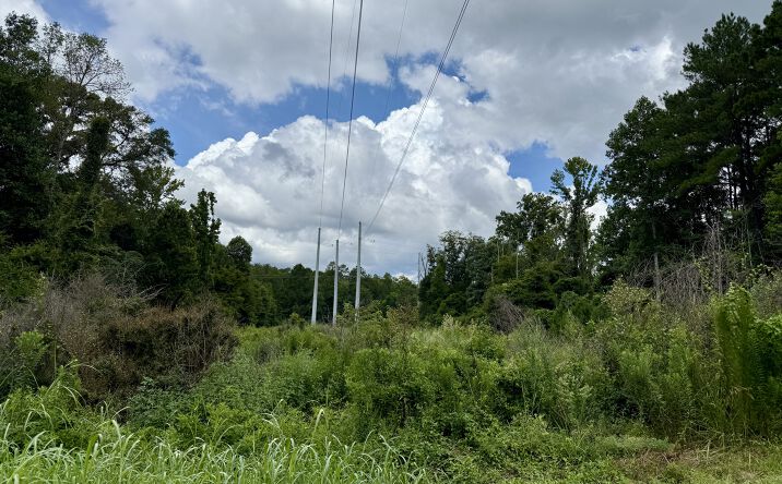 Pictures of Land property located at 2194 MS-570, Summit, MS 39666 for sales - image #1