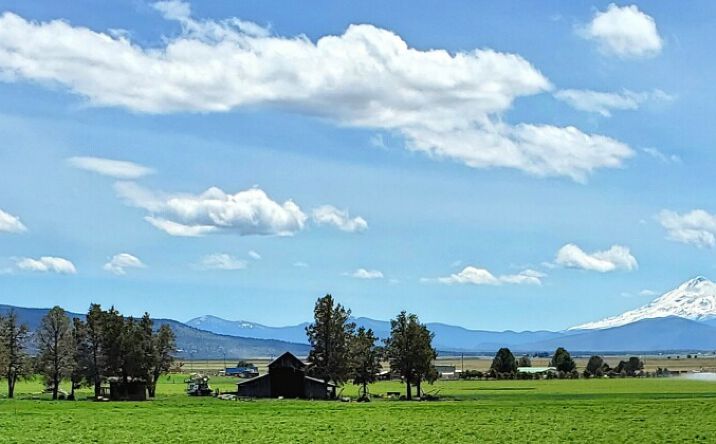 Pictures of Land, Special Purpose property located at 7001 E Butte Valley Rd, Macdoel, CA 96058 for sales - image #1