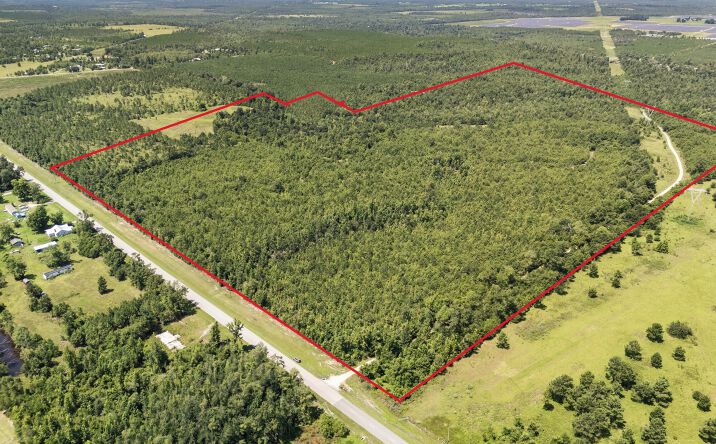 Pictures of Land property located at NW Co Rd 275, Altha, FL 32421 for sales - image #1