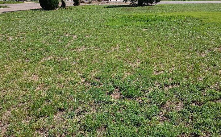Pictures of Land property located at 413 N Main Street, Portales, NM 88130 for sales - image #1
