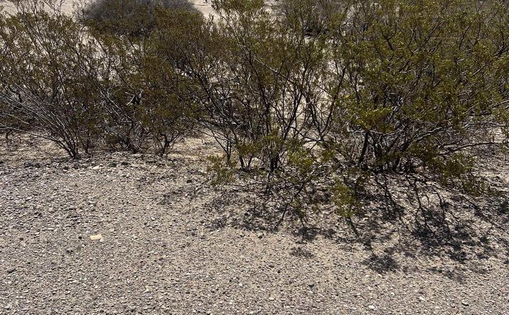 Pictures of Land property located at 1 Country Club Road, Elephant Butte, NM 87901 for sales - image #1