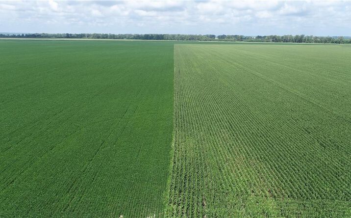 Pictures of Land, Special Purpose property located at Tract 1 N Of Cranberry Bend Road, Waverly, MO 64096 for sales - image #1
