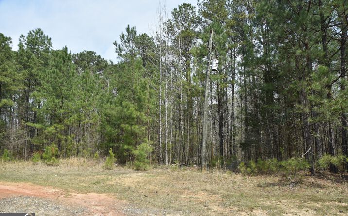 Pictures of Land property located at 0 Main Waverly Hall, Waverly Hall, GA 31831 for sales - image #1