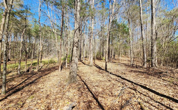 Pictures of Land property located at Deer Ridge Dr, Hamilton, GA 31811 for sales - image #1