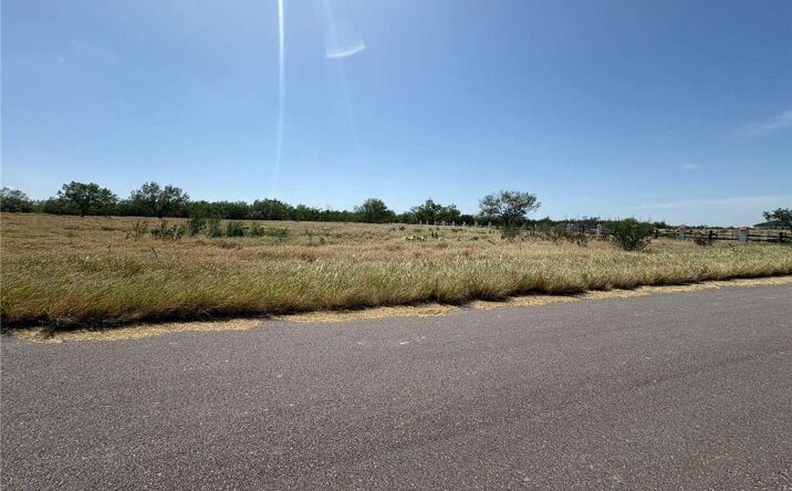 Pictures of Land property located at 123 Woodlands Road, Rio Grande City, TX 78582 for sales - image #1