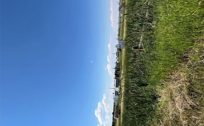 Pictures of Land property located at 92 Prospect Avenue E, Geraldine, MT 59446 for sales - image #1