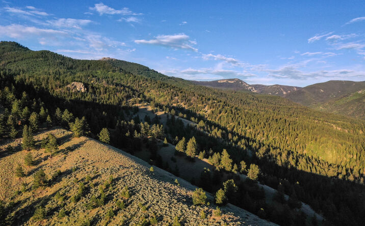 Pictures of Land property located at Bitterroot Highlands at Willow Creek - NHN Willow Creek Rd, Corvallis, MT 59828 for sales - image #1