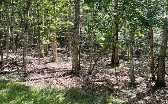 Pictures of Land property located at 222 Mountain Laurel # 43, Daniels, WV 25832 for sales - image #1