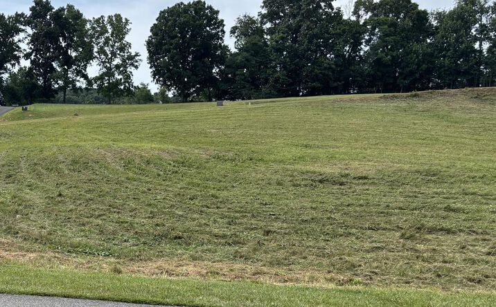 Pictures of Land, Multifamily property located at TBD Chestnutwood Drive, Chilhowie, VA 24319 for sales - image #1
