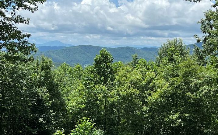 Pictures of Land property located at TBD Holiday Lane, Whitetop, VA 24292 for sales - image #1