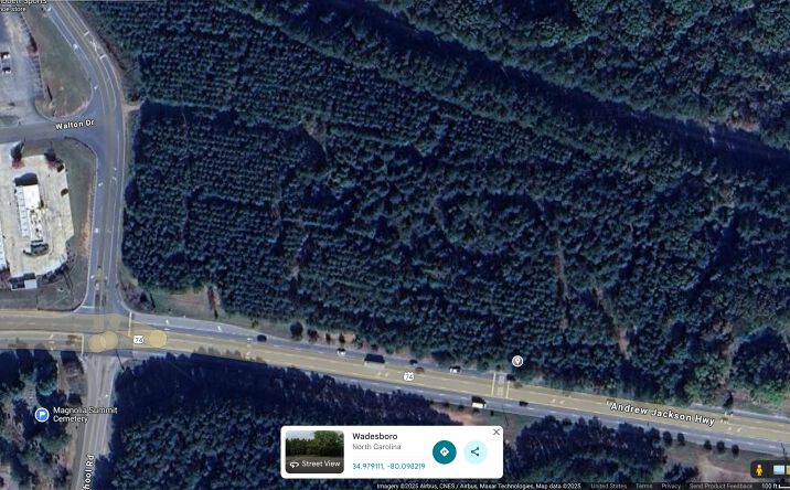 Pictures of Land property located at W Caswell St, Wadesboro, NC 28170 for sales - image #1