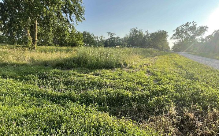Pictures of Land property located at 0 Emery Avenue, Bloomfield, IA 52537 for sales - image #1