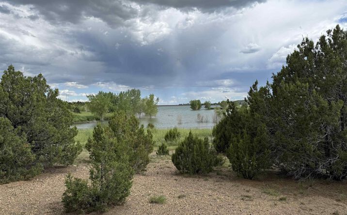 Pictures of Land property located at Storrie Avenue Avenue, Las Vegas, NM 87701 for sales - image #1