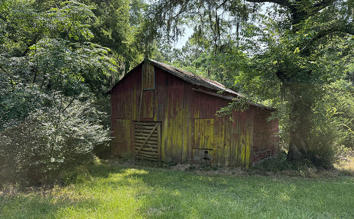 Pictures of Land property located at 2590 GA Hwy 129, Jeffersonville, GA 31044 for sales - image #1