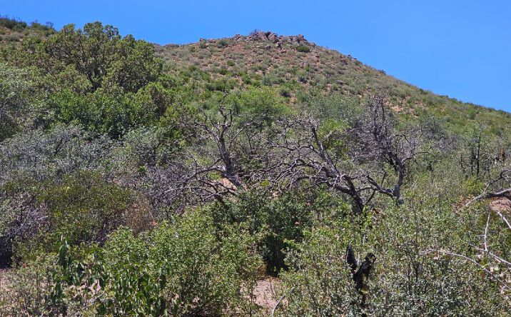 Pictures of Land property located at TBD S El Capitan Dr, Globe, AZ 85501 for sales - image #1