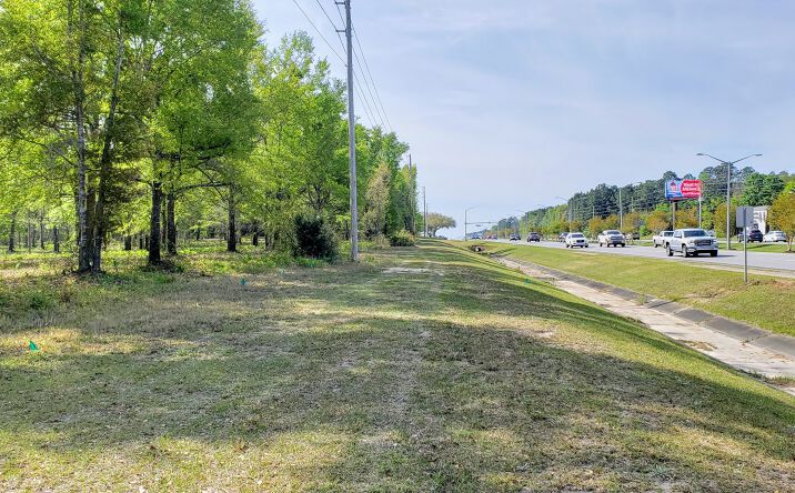 Pictures of Land, Retail property located at 0 Gulf Shores Parkway, Gulf Shores, AL 36542 for sales - image #1
